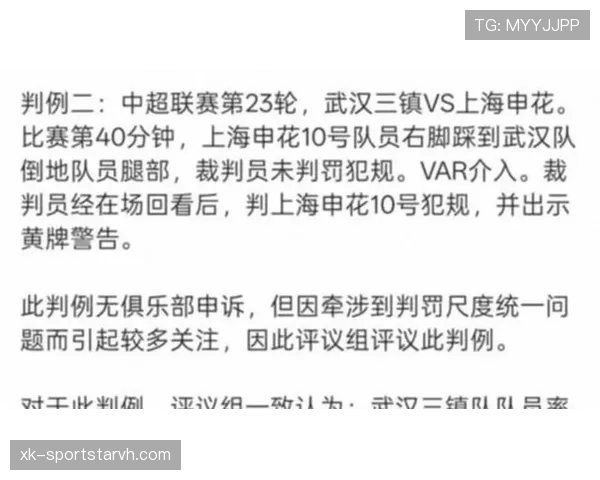 手球判罚为何总让人质疑？细看判罚标准与实际应用差异